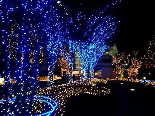OZS 2PACK 164ft 400LED Extendable Blue Christmas String Lights Indoor/Outdoor, Waterproof 8 Modes Green Wire Christmas Tree Lights for Wedding Christmas Decorations (Blue Light)