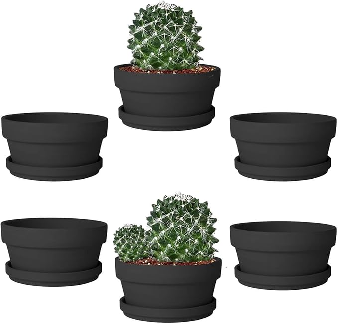 vensovo 5.7 Inch Black Terracotta Shallow Succulent Pots - 6 Pack Terra Cotta Clay Pot with Saucer, Cacuts Indoor and Outdoor Planters with Drainage Hole
