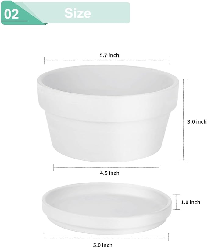 vensovo 5.7 Inch White Terracotta Shallow Succulent Pots - 6 Pack Terra Cotta Clay Pot with Saucer, Cacuts Indoor and Outdoor Planters with Drainage Hole