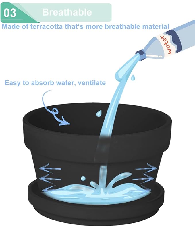 vensovo 5.7 Inch Black Terracotta Shallow Succulent Pots - 6 Pack Terra Cotta Clay Pot with Saucer, Cacuts Indoor and Outdoor Planters with Drainage Hole