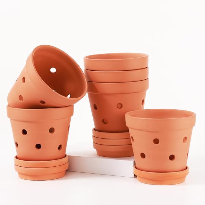 Fcacti 6 Inch Terracotta Orchid Pots with Drainage Holes and Saucers - 6 Pack Small Clay Orchid Planter Pots for Repotting, Plant Flower Pots for Orchid Indoor/Outdoor Promotes Air Circulation