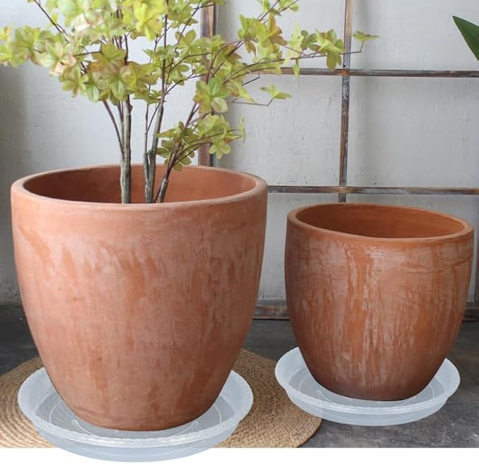 Plant Saucer 6 Pack of 8 inch, Clear Plastic Flower Plant Pot Saucer, Heavy Duty Plant Drip Trays Saucers for Indoor, Plant Water Tray for Planters