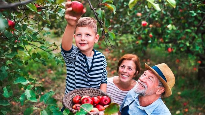 Premium Apple Potting Soil Mix - Optimal Nutrient-Rich Blend for Thriving and Juicy Apples - 5 Quart