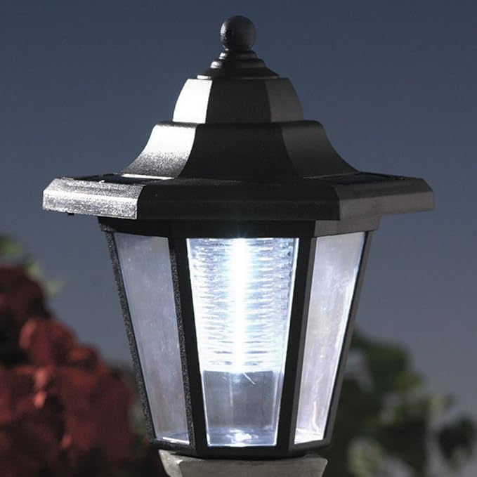 Bits and Pieces-Solar Bichon Lantern-Solar Powered Garden Lantern - Resin Dog Sculpture with LED Light