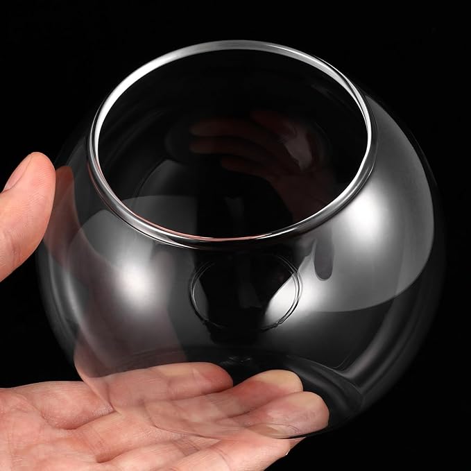 Mipcase 3 Pcs Plant Terrarium Plant Holder Terrarium Air Plant, 3 Round Glass Vase for Succulents, Clear Bubble Planter for Home Decor, Oblique Opening Glass Bowls Succulent Orbs Mini Tank