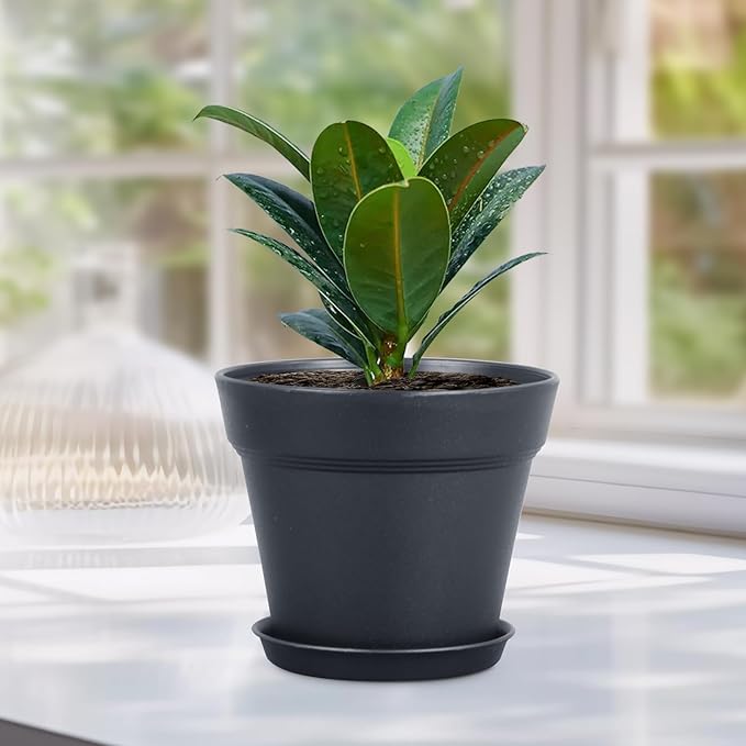 4 inch Small Plastic Nursery Pots, Seedling Pots, 16 Pack Plant Pots for Indoor Outdoor Plants, Flower Pots with Drainage Holes and Saucers, Decorative Planters for House Plants, Black