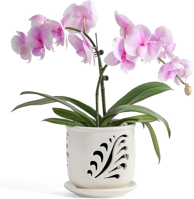 Ceramic Orchid Pot, 6 Inch Orchid Pots with Holes and Saucer for Indoor/Outdoor Plants Drainage & Air Circulation, White Orchid Planter for Repotting or New Plants