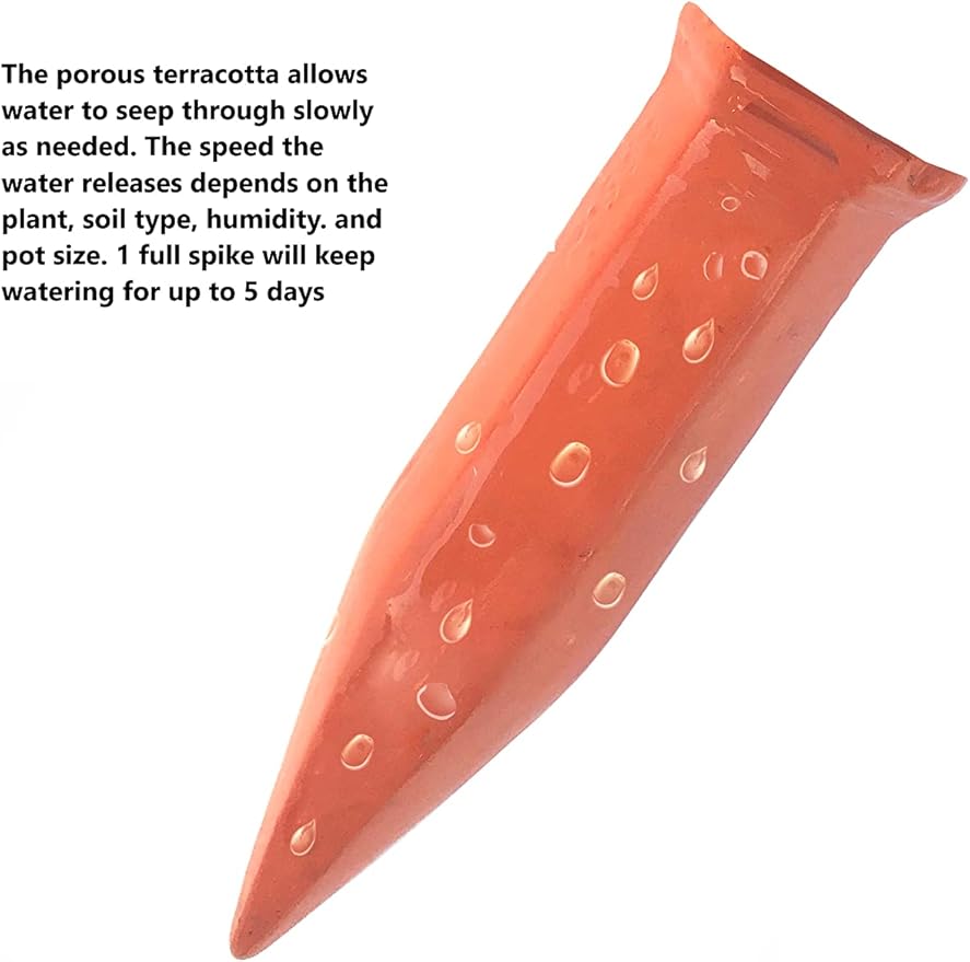 Terracotta Plant Self Watering Spikes - Set of 3 Terracotta Self Watering Bulbs, Self Watering Stakes, Self Watering Globes for Pot Plants (Frogs Plain, Large)