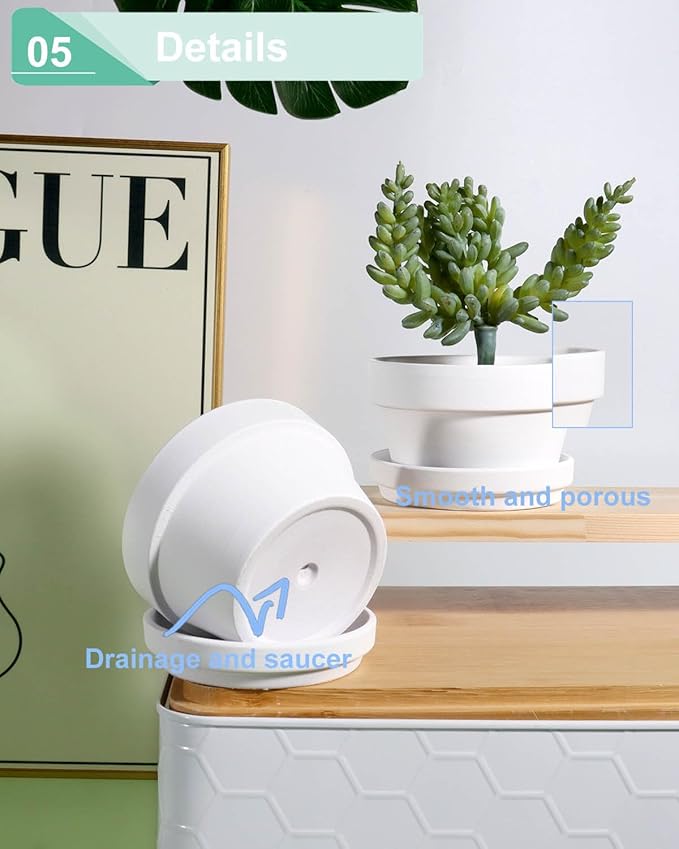 vensovo 5.7 Inch White Terracotta Shallow Succulent Pots - 6 Pack Terra Cotta Clay Pot with Saucer, Cacuts Indoor and Outdoor Planters with Drainage Hole