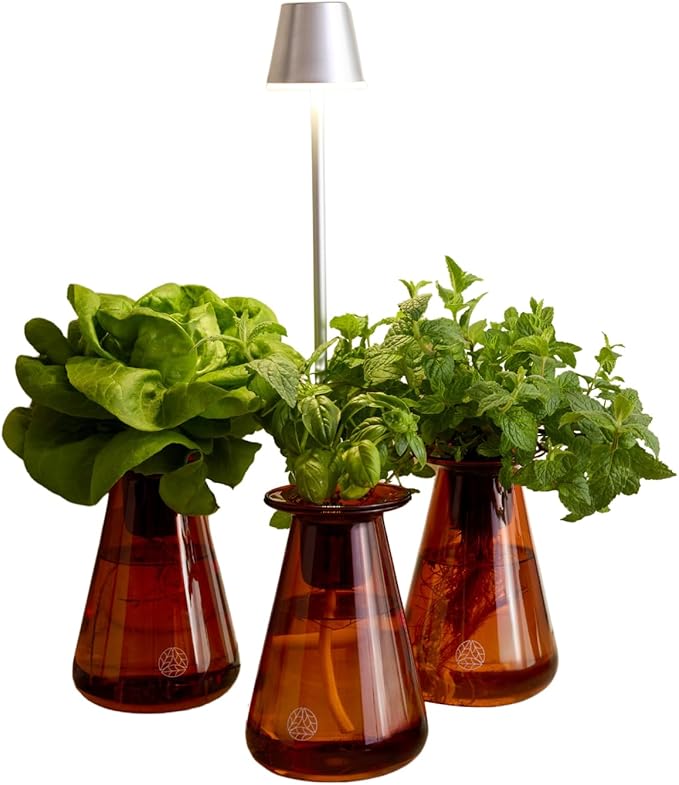 Counterstand Set – Vase Plant for Indoor Edible Garden Kit for Herbs & Lettuce – Small-Space Hydroponic System – Home Decor & Gifting – with Live Plants