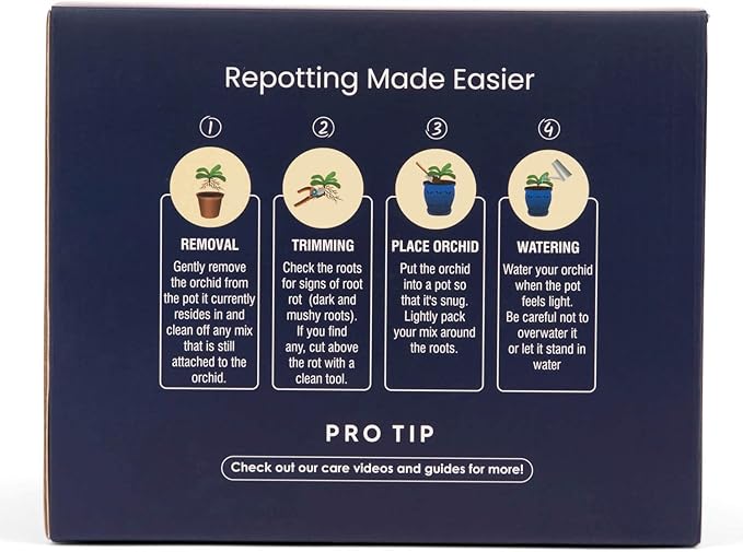 rePotme 6 inch Pinwheel Fluted Ceramic Plant Pot (Cream Over Garnet) - Includes Free 6 inch Slotted Pot Liner - Great for Orchids, Succulents, and All Indoor Plants