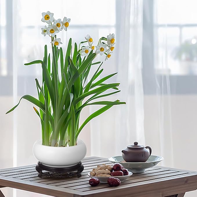 Ceramic Chinese Pot with Base White Water Lily Bowl 6Inch Porcelain Lotus Pot Jardiniere Planter Oriental Fish Bowl Bonsai Vase