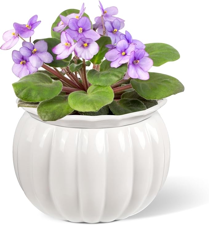 African Violet Pots, 6 inch Pumpkin-Style Ceramic Easy Self Watering Plant Pot for Busy Plant Lovers, Automatically Absorb Appropriate Amount of Water, Flower Pot Indoor-Plants Not Included