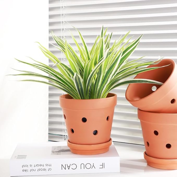 Fcacti 6 Inch Terracotta Orchid Pots with Drainage Holes and Saucers - 6 Pack Small Clay Orchid Planter Pots for Repotting, Plant Flower Pots for Orchid Indoor/Outdoor Promotes Air Circulation