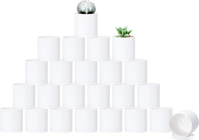D'vine Dev 24 Pack 2 Inch Mini Plastic Plant Pots, Small Garden Planters for Plant with Drainage Holes and Saucers, White Color, 74-Z-A-6