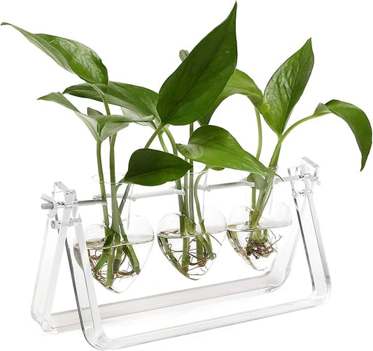 Plant Terrarium Propagation Stations with Acrylic Stand Birthday Gifts for Women Plant Stand Indoor Office Home Decor