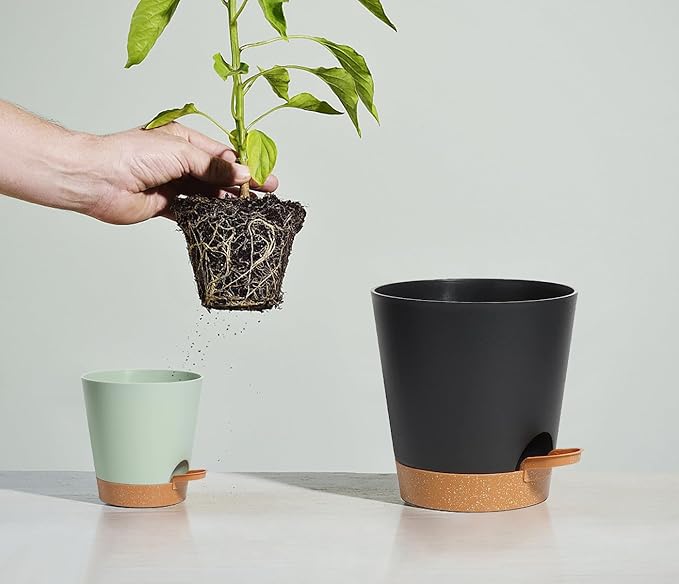 Self Watering Pots, Flower Planting Pots for Indoor Outdoor Plants, African Violet, Flowers, Succulent,Cactus Plant Pots with Drainage Holes Green Plastic Pots Gift Idea For Lazy people House Decor