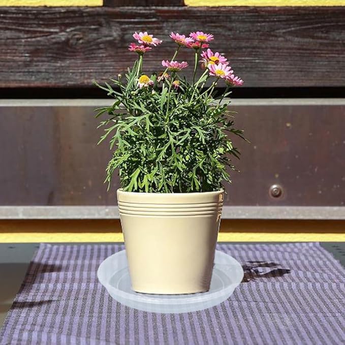 Plant Saucer 2 Pack of 8 inch, Clear Plastic Flower Plant Pot Saucer, Heavy Duty Plant Drip Trays Saucers for Indoor, Plant Water Tray for Planters