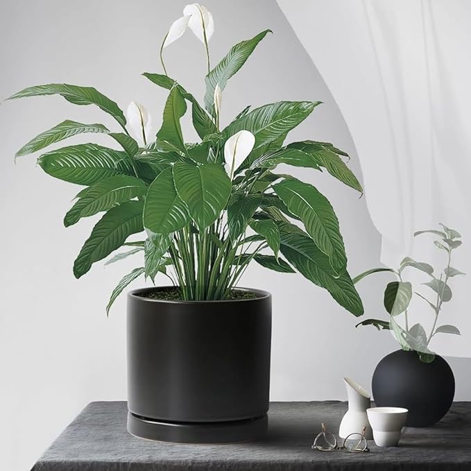 Plant Saucer Pot Tray Planter Saucers 4 5 6 7 8 9 10 11 12 Inch Black 4 Pack for Indoors Outdoor, Durable Sturdy Ceramic Flower Drainage Tray for Glazed Pots Base (4.7 Inch-Black)