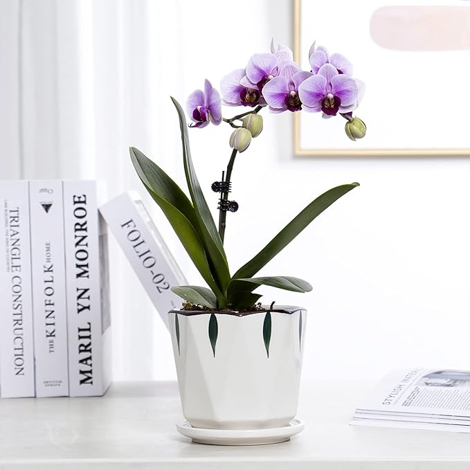 7 5 4 inch Plant Pots for Indoor, Hand Painting Ceramic Flower Planter Outdoor Set of 3 with Drainage and Saucer, Succulent Pots for Mom Family