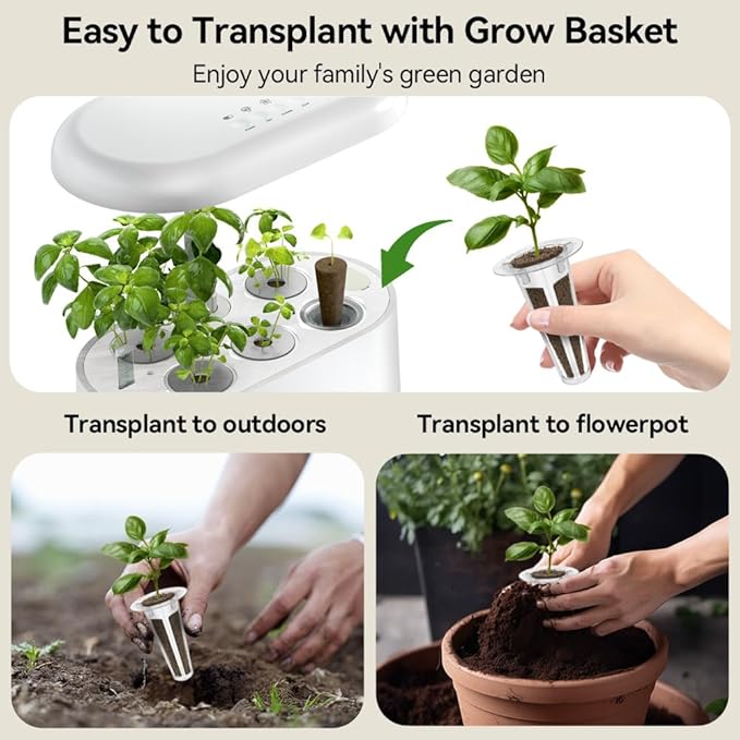 inbloom Gourmet Herb Seed Pod Kit for AeroGarden, iDoo, Ahopegarden with Basil, Parsley, Cilantro, Chrysanthemum, Pak Choi, Crystalline Ice Plant, Onion, Hydroponics Growing System Supply (12-Pod)