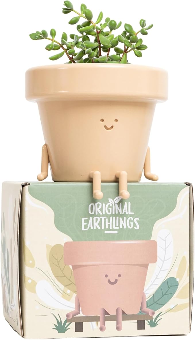 Original Earthlings Sitting Pot - 3.5 Inch Cute Plant Pot - Plastic Funny Planter with Drainage - Unique Cactus Plant Lover Gift - Small Succulent Face Flower Pot - Cute Plant Gifts for Plant Lovers