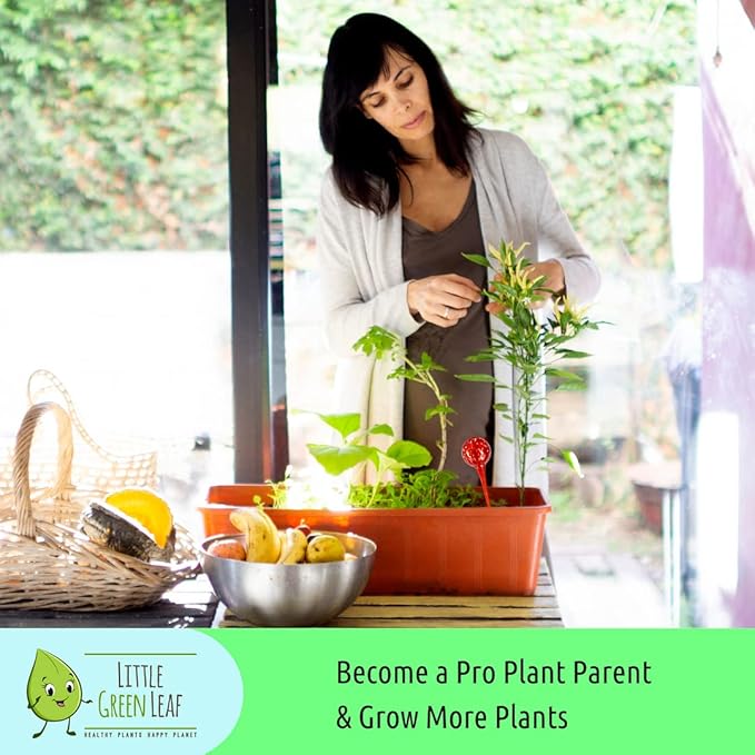 LGL Plant Watering Globes - Automatic Self Watering Globes. Decorative Self Watering Planter Inserts Made From Hand-Blown Durable Glass. Self Watering Spikes to Support Plant Health. 4 Pack, Small.