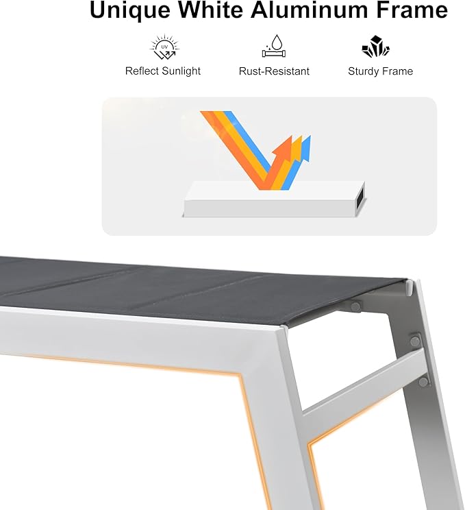 PURPLE LEAF Lounge Chair Pool Chaise Lounge Outdoor Grey 2 Sets