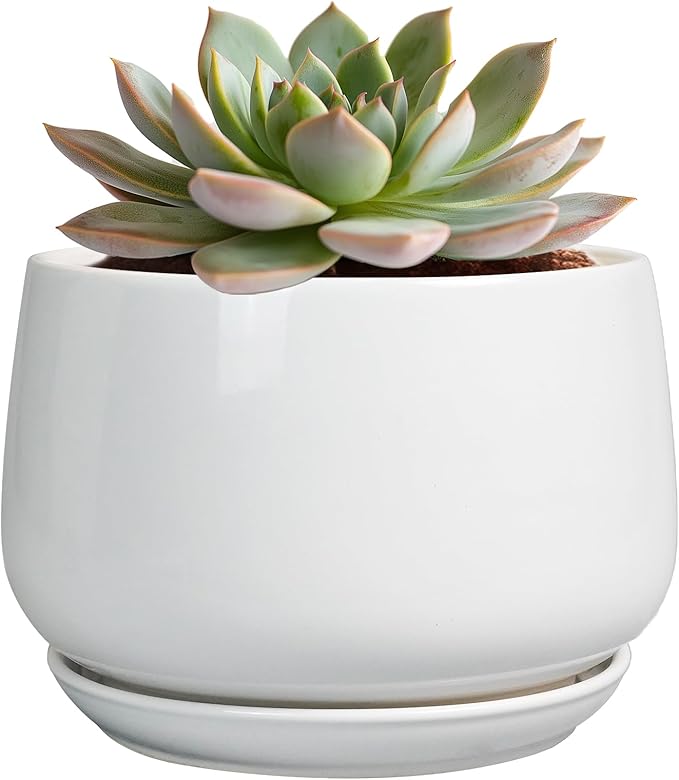 G EPGardening Ceramic Pots for Plants - 6 Inch Planter for Indoor Plants, Flower Pots with Drainage and Ceramic Tray, Modern Office Decor, Gifts for Plant Lovers, White
