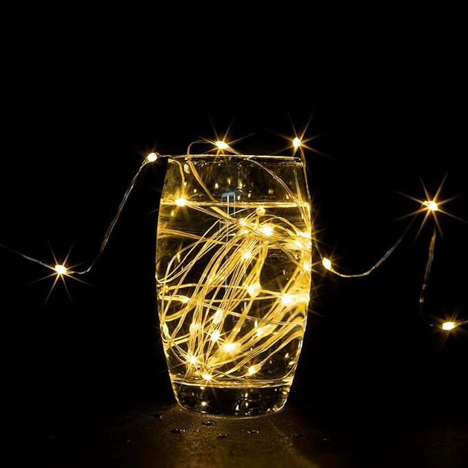 Fairy Lights Plug in,328FT 1000 LEDs Waterproof Led String Lights,Twinkle Light with 8 Modes Remote for Outdoor Indoor Christmas Wedding Birthday Garden Party Decorations,Warm White