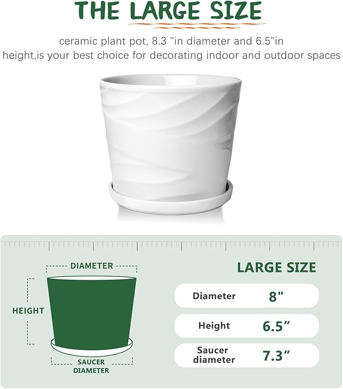 8 Inch Plant Pot, Ceramic Planter with Drainage and Saucer, Ceramic Pots for Plants, Indoor Plant pots,Succulent Orchid Flower Pot(Pure White)