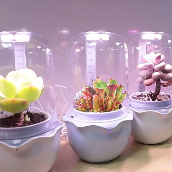 Smart Venus Fly Trap Terrarium Pot with Timer&Fan,Succulent Planter with Grow Light,Indoor Plant Pots Terrarium with Drainage Hole for Carnivorous Plants,Sundew Moss,Cactus(No Plant)