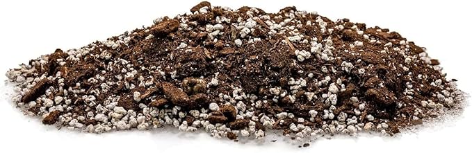 Palm Tree Potting Mix - The Ultimate Soil for Strong and Healthy Palms - Top Choice for Palm Tree Growers [4 Quart Bag]
