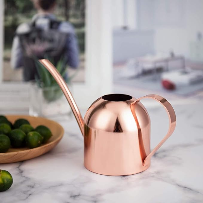 IMEEA Small Watering Can for Indoor Plants Stainless Steel Indoor Watering Can with Long Spout, 15oz/450ml