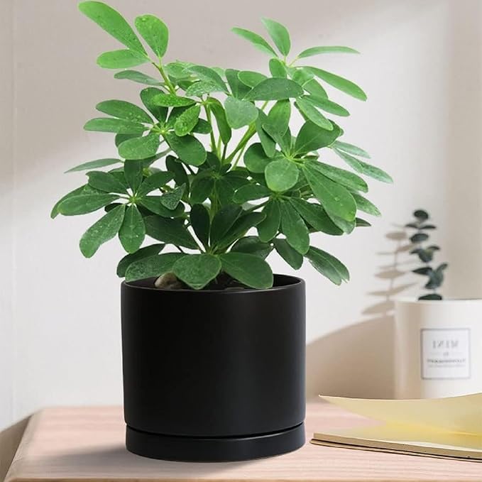 2 Pack Ceramic Plant Saucer Pot Tray 6 Inch, Planter Saucers 4 5 6 7 8 9 10 11 12 13 Inch for Indoors Outdoor, Durable Sturdy Flower Drainage drip Water Tray for Glazed Pots Base (6.4 Inch-Black)