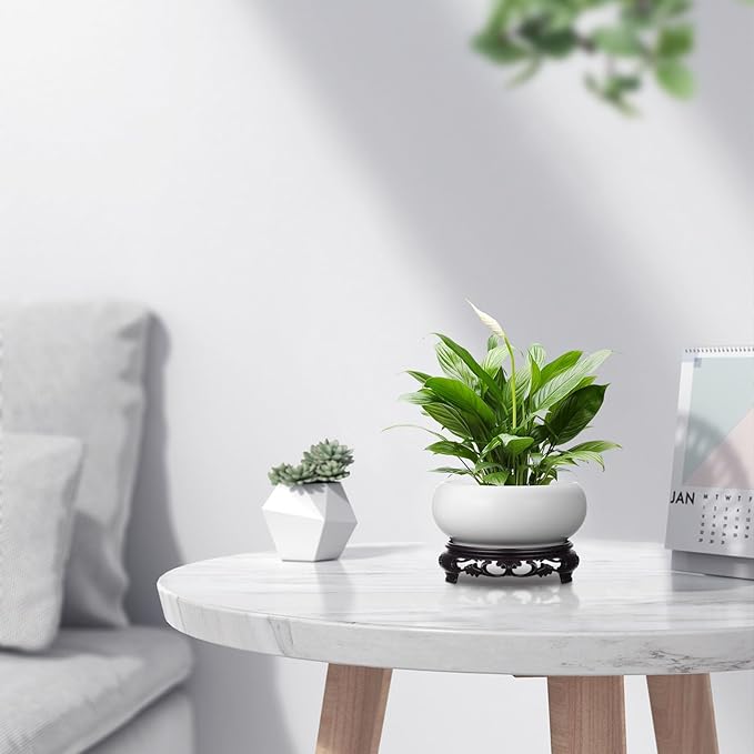 Ceramic Chinese Pot with Base White Water Lily Bowl 6Inch Porcelain Lotus Pot Jardiniere Planter Oriental Fish Bowl Bonsai Vase