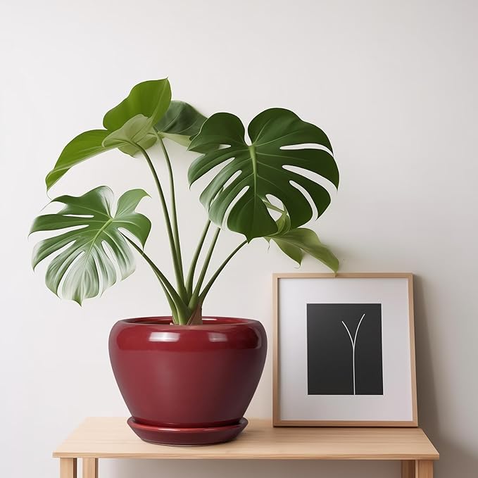 Ceramic Pot for Plants - 6 Inch Plant Pot Indoor with Drainage Hole and Saucer Succulent Outdoor Planter Round Flower Pot for House Patio Decor Red