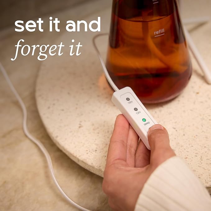 Counterstand Set – Vase Plant for Indoor Edible Garden Kit for Herbs & Lettuce – Small-Space Hydroponic System – Home Decor & Gifting – with Live Plants