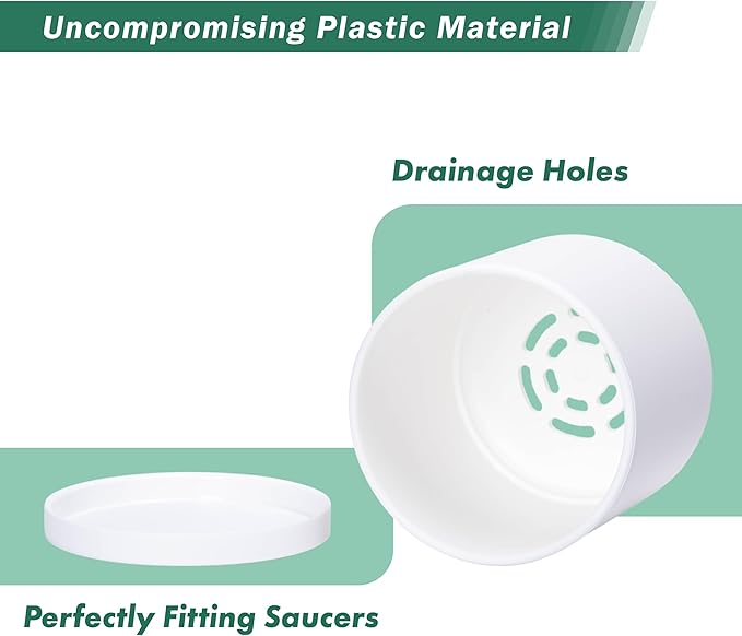 D'vine Dev 2 Pack 4.5 Inch Modern Plastic Plant Pots, Small Garden Planters for Plant with Drainage Holes and Saucers, White Color, 74-Z-F-1