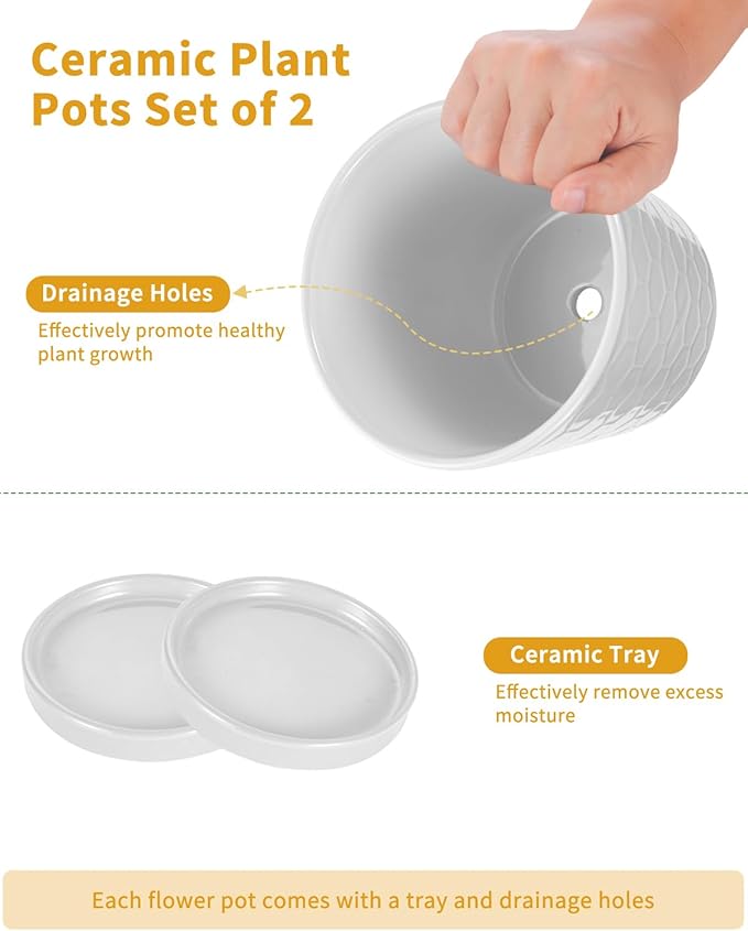 EFISPSS Ceramic Plant Pots, 6 Inch Pots for Indoor Plants, Planters with Drainage Hole and Saucer, Flower Pots Desktop Office Windowsill Decoration Gift Set of 2 - White