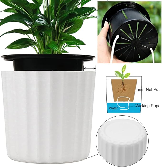 MUZHI Orchid Pot with Slotted Mesh and Holes, Plastic Round Self Watering Planter for Indoor Plants,Flowers,Herbs 3sets and 2sizes, White 7 inch