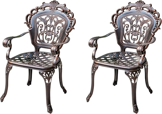 Outdoor Dining Chair Cast Aluminum Patio Chairs Set of 2 All-Weather Patio Dining Chair with Adjustable Feet for Backyard Garden (C-Style Finland Chair)