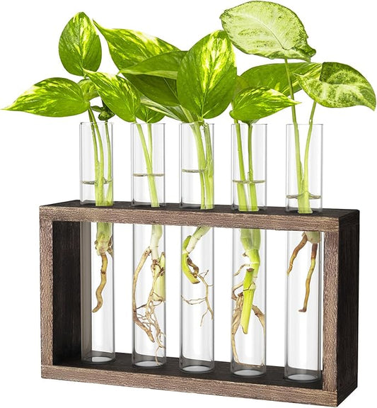 Ivolador Plant Propagation Station Terrariumin Wall Test Tube Vases Bud Tabletop Glass Wooden Stand with 5 Propagation Tubes for Propagating Hydroponic Plants Home Garden Wedding Decoration-Brown