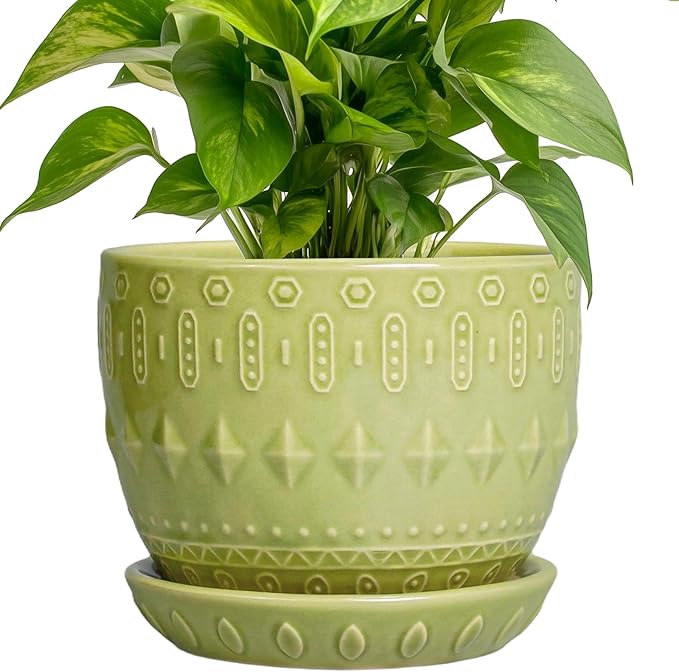 G EPGardening Ceramic Planter 5.5 Inch - Boho Plant Pot Indoor with Drainage Hole and Saucer, Round Flower Succulent Pot for Plants, Plant Lovers Gifts, Garden Office House Decor, Green
