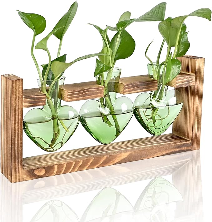 Plant Terrarium Propagation Stations Hydroponics Home Garden Decoration Gift for Women with Wooden Stand Heart Shaped Colored Glass Vase