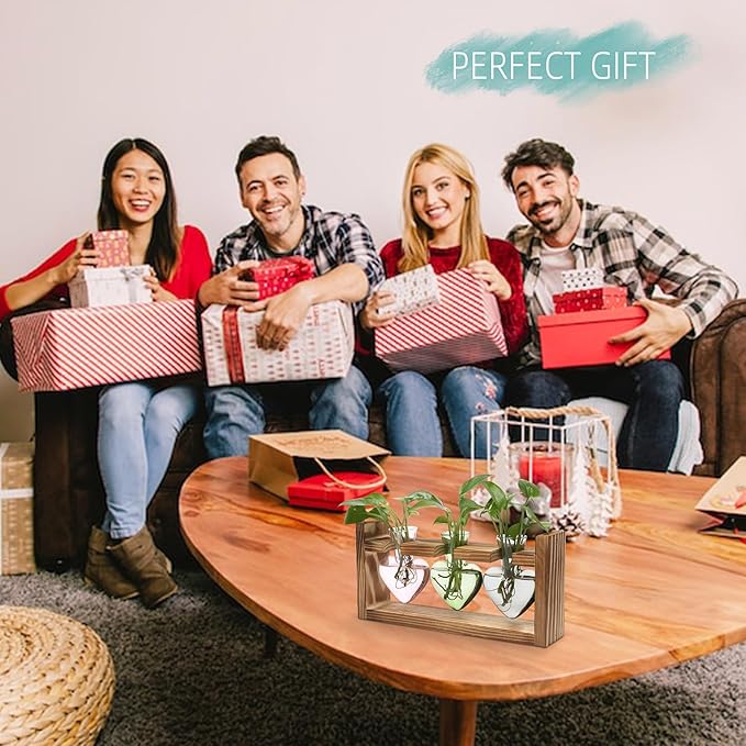 Plant Terrarium Propagation Stations Hydroponics Home Garden Decoration Gift for Women with Wooden Stand Heart Shaped Colored Glass Vase