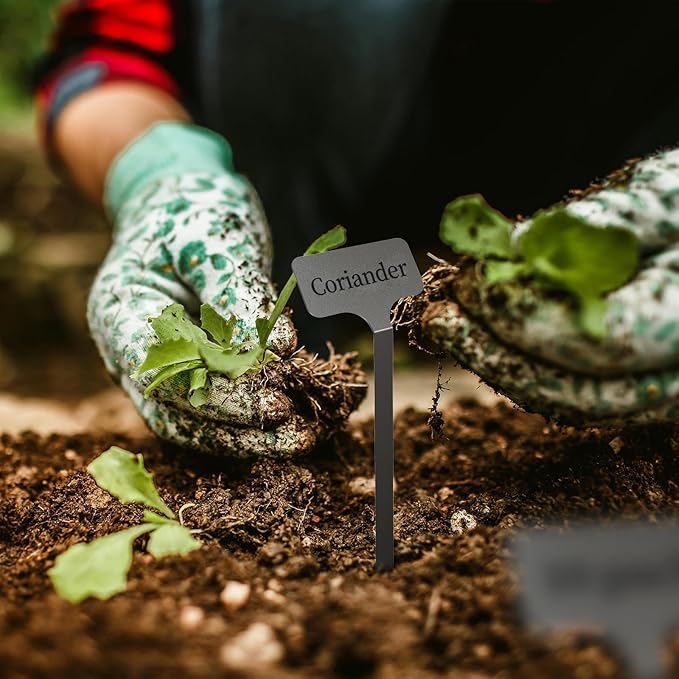 Stainless Steel Plant Labels, Metal Waterproof Plant Markers,Height 12.75 in, Label Area 2.5 in*1.25 in resuable Nursery Tags for Vegetables herb Flower Seed Green House- 20-Pack