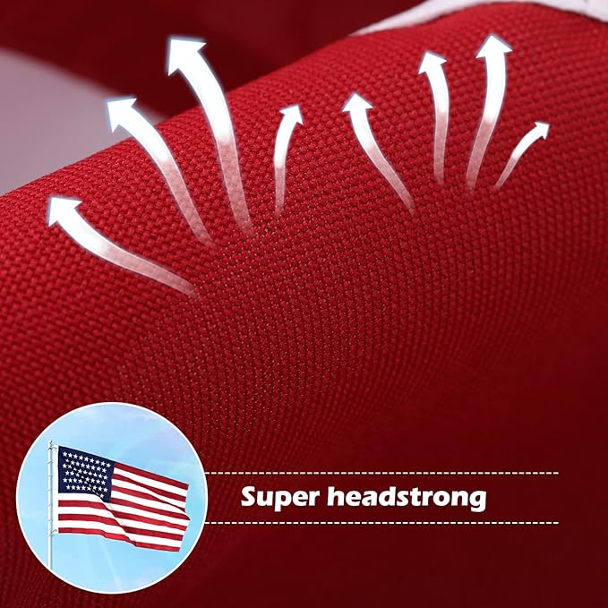 American Flag 8x12 Ft Deluxe Water Resistant Series Made From Heavy Duty Super Tough Spun Polyester/Embroidered Stars/Sewn Stripes/Brass Grommets,US Flags Perfect for Outside