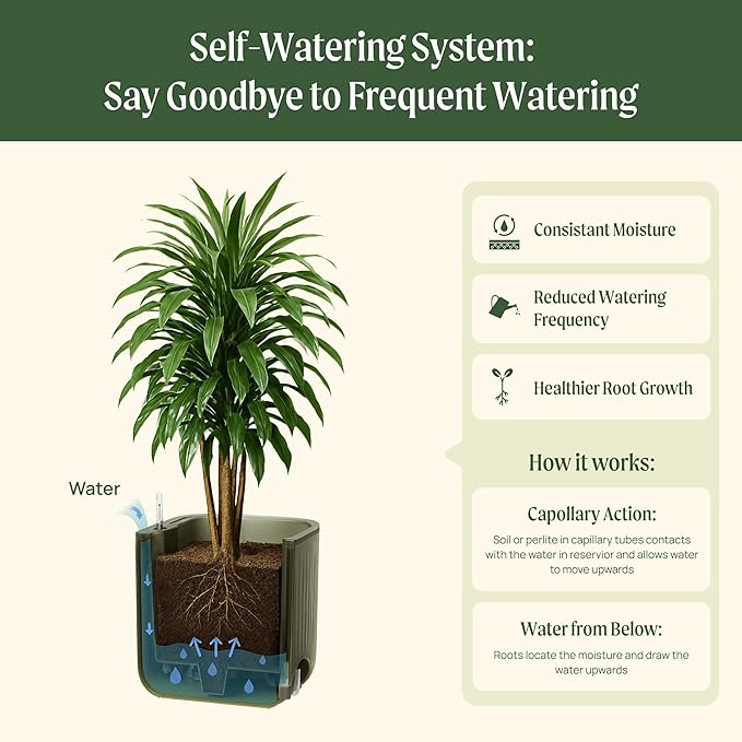 Vego garden Self Watering Pots Home Planters with Water Gauge for Effortless Indoor Plants Sage Green