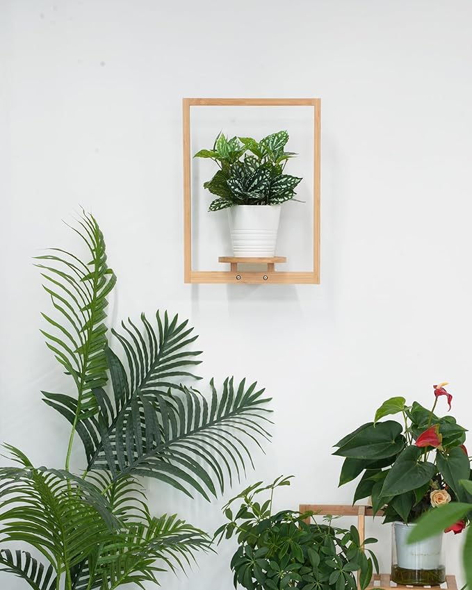 yadoker Wall Planters for Indoor Plants,Bamboo Hanging Plant Holders, Wall Decor Plant Stand, 1-Pack Window Plant Shelves for Living Room & Entryway